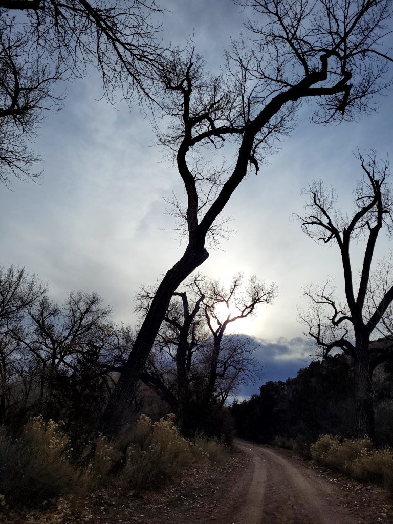 Leafless trees on either side of trail,  silhouetted against a darkening sky. The sun is low and hidden behind clouds. The foreground tree looms ominously over the viewer.